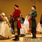 zdjęcie nr 14