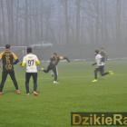 zdjęcie nr 11