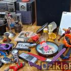 Fotka nr 4 z 46