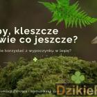 Fot. POWIATOWA STACJA SANITARNO-EPIDEMIOLOGICZNA w Żywcu 