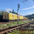Fotka nr 5 z 8