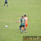 zdjęcie nr 11