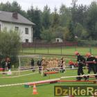 zdjęcie nr 95