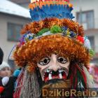 zdjęcie nr 448