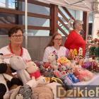 zdjęcie nr 11