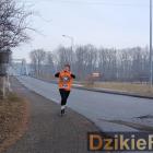 zdjęcie nr 127