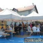 zdjęcie nr 46