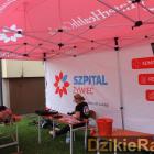 zdjęcie nr 43