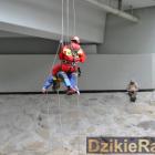 zdjęcie nr 57