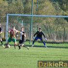 zdjęcie nr 41