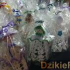 zdjęcie nr 113