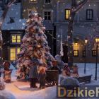 Fotka nr 4 z 7