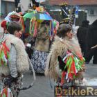 zdjęcie nr 495