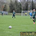 zdjęcie nr 35