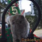 zdjęcie nr 33