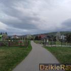 Fotka nr 4 z 10
