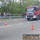 zdjęcie nr 236