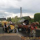 zdjęcie nr 229