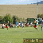 zdjęcie nr 121