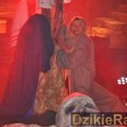 zdjęcie nr 317