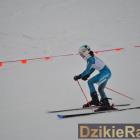 zdjęcie nr 62
