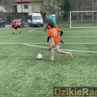 Fotka nr 2 z 14