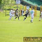 zdjęcie nr 15