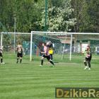 zdjęcie nr 31