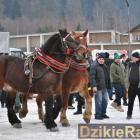 Fotka nr 4 z 172