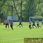 zdjęcie nr 186