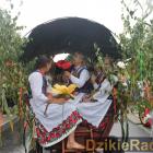 zdjęcie nr 243