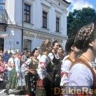 zdjęcie nr 299