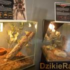 Fotka nr 4 z 23
