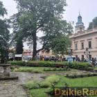 zdjęcie nr 73