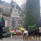 zdjęcie nr 84