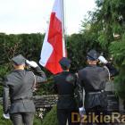 zdjęcie nr 162
