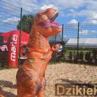 zdjęcie nr 39