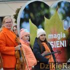 zdjęcie nr 138