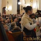 zdjęcie nr 66