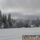 zdjęcie nr 83