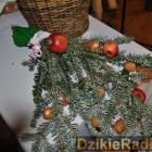 zdjęcie nr 113