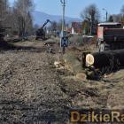 Fotka nr 1 z 15
