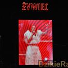 zdjęcie nr 227