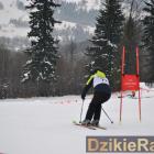 zdjęcie nr 224