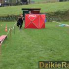 zdjęcie nr 193