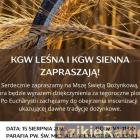 Fotka nr 0 z 1