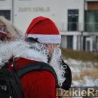 zdjęcie nr 9