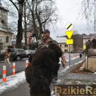 zdjęcie nr 50