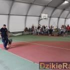 zdjęcie nr 20