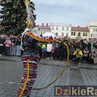 zdjęcie nr 230